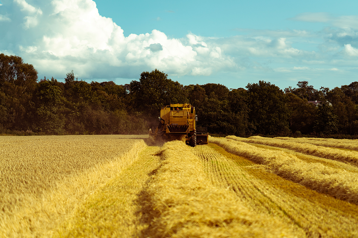 Farma Ballymorgan Waterford Whisky