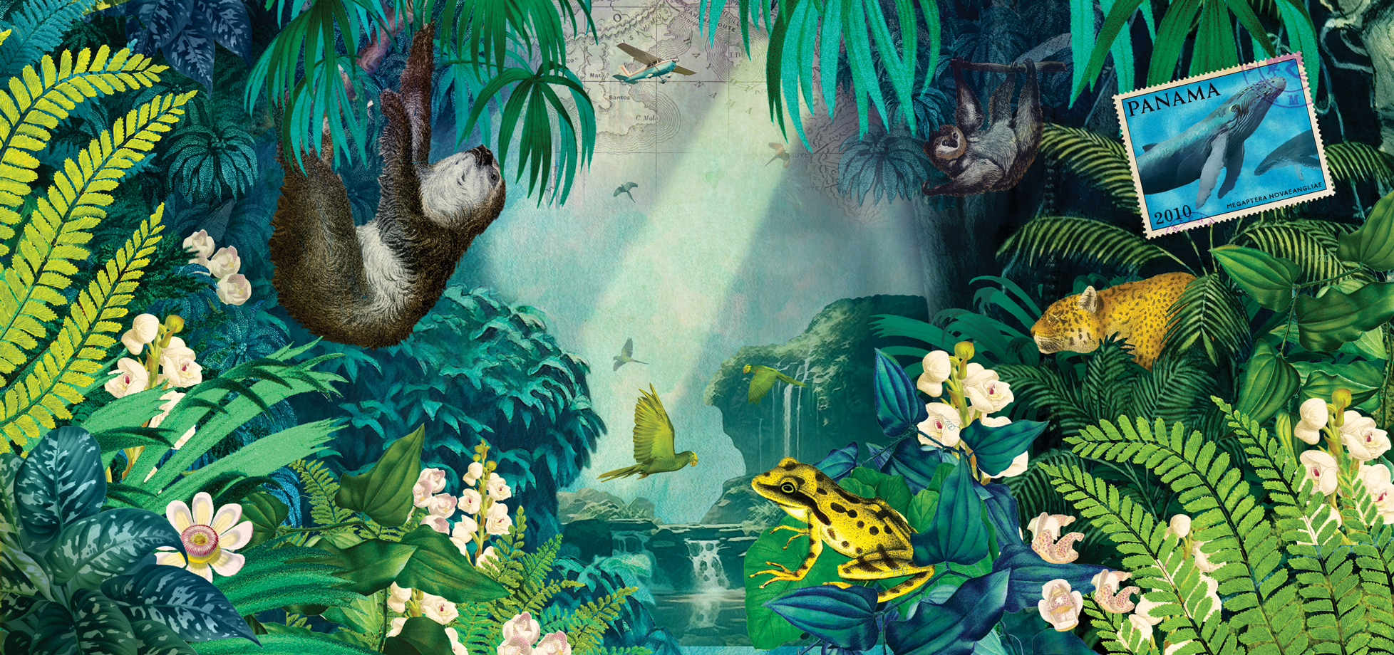 Ilustrácia Plantation Panama 2010