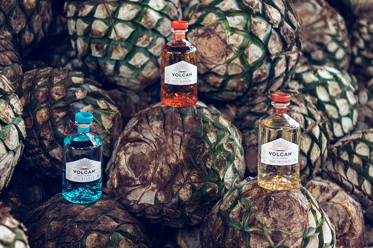 Volcan de mi terra alko90.sk